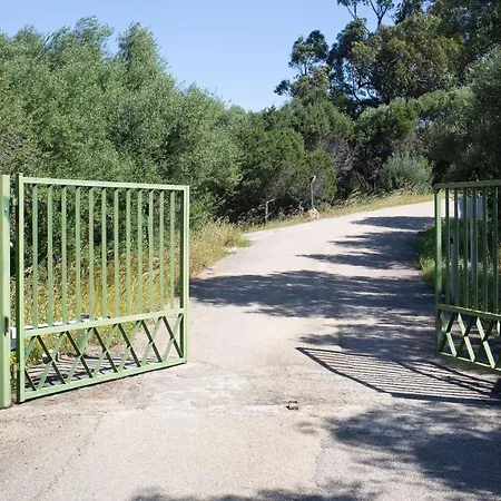 Porto Rotondo Sul Mare דירה אולביה